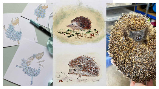 Collage of 3 hedgie Ballettoons cards, hedgehog paintings and hedgehog photo