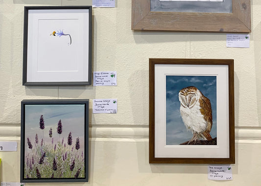 Wildlife Friendly Otley arts festival 2023