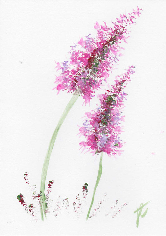 Artistic depiction of pink flowers on a white background