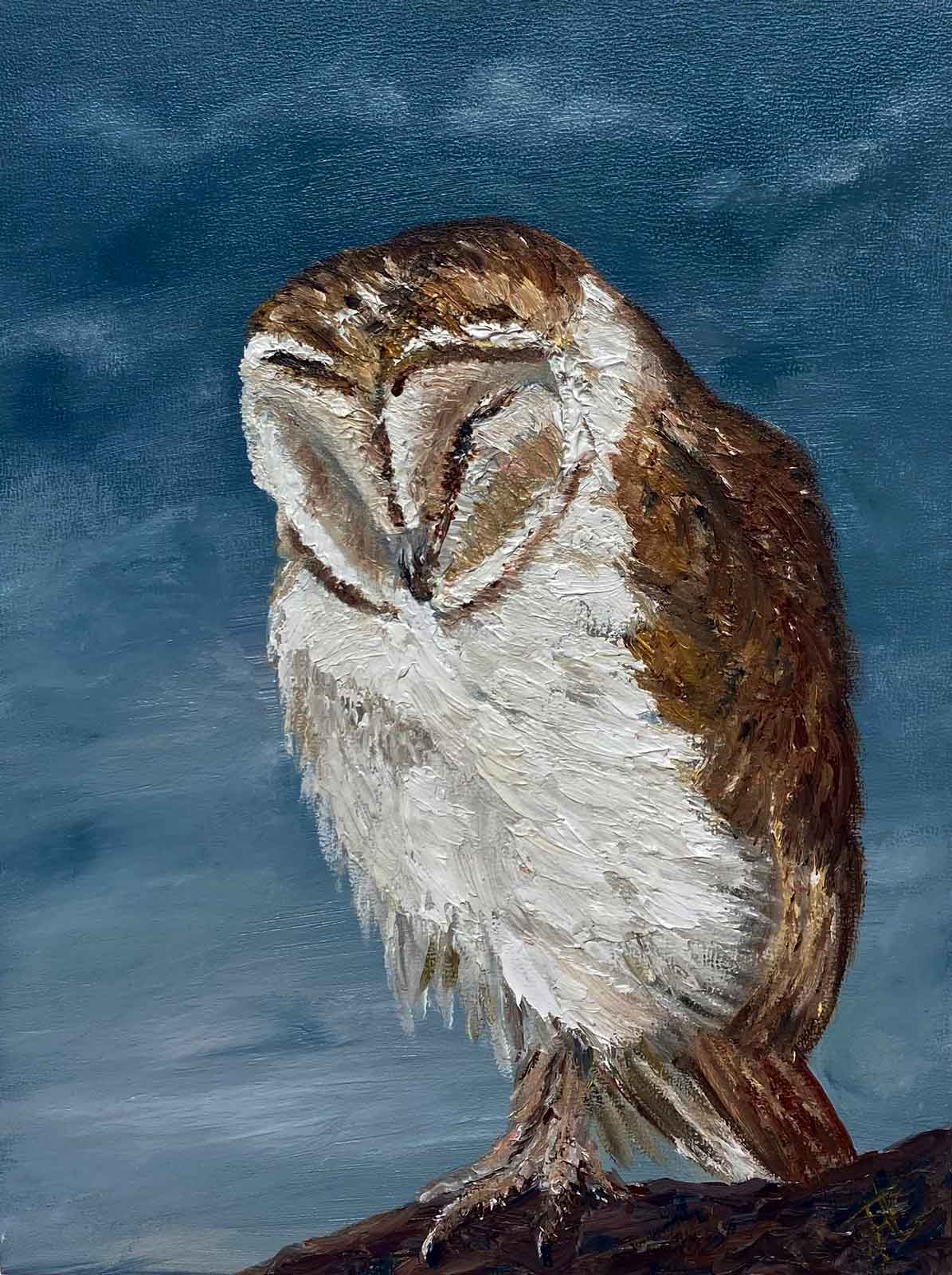 Textured oil painting of sleeping barn owl