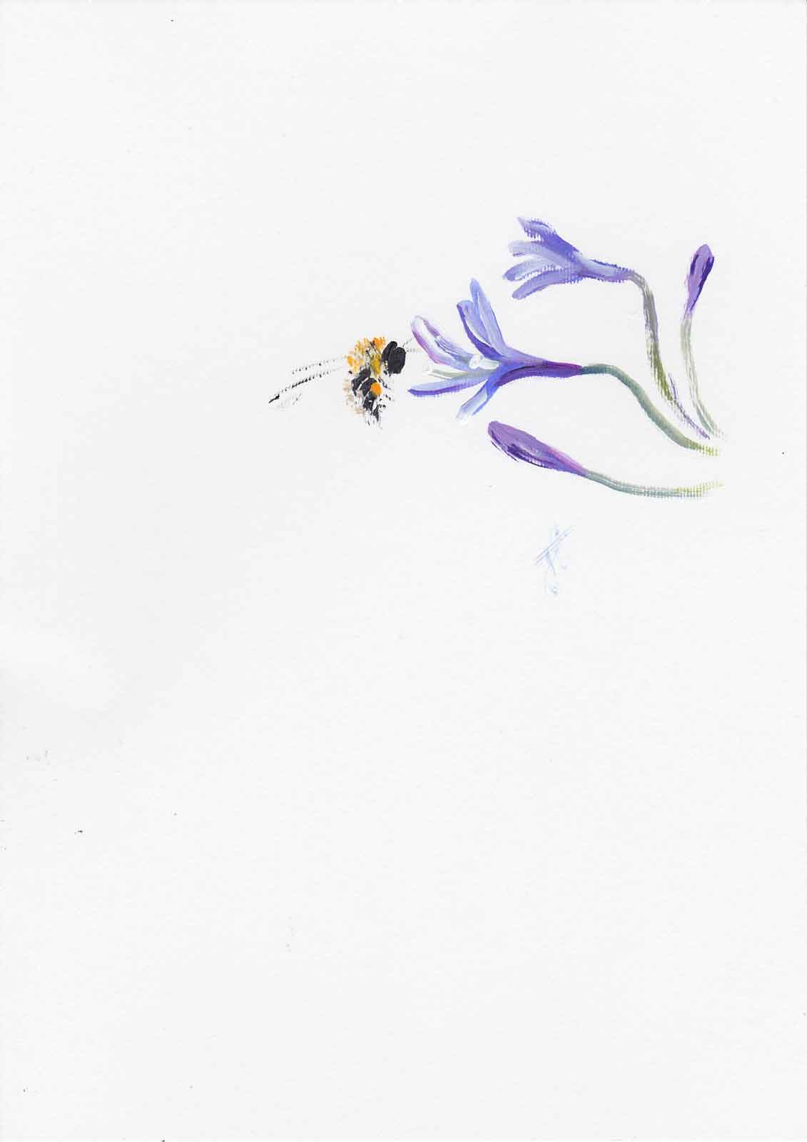 Painting of bee hovering alongside agapanthus blooms and buds