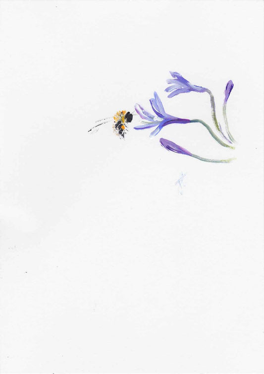 Painting of bee hovering alongside agapanthus blooms and buds