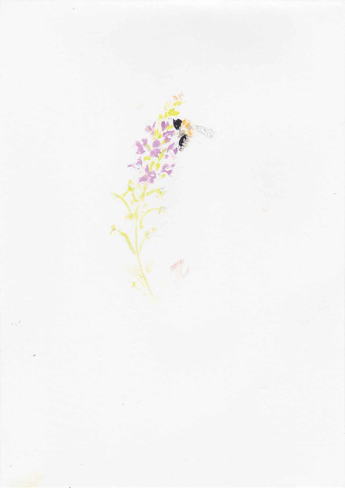 Painting of bee on pink toadflax flowers