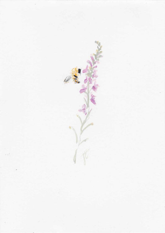 Painting of bee hovering alongside pink toadflax stem in bloom