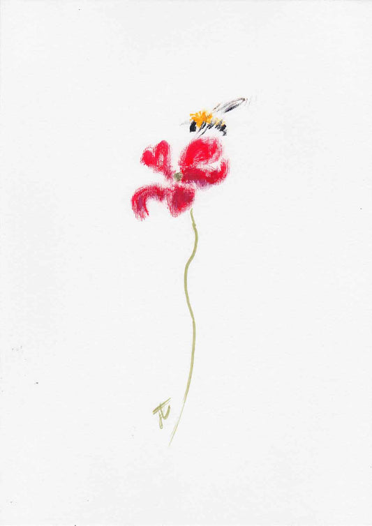 Stylised painting study of bee and red poppy