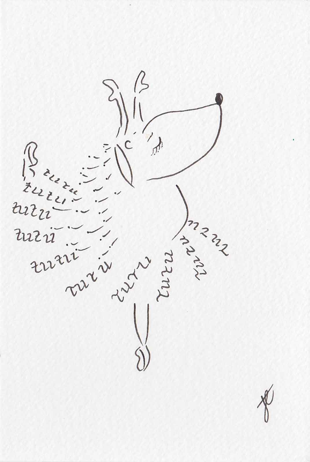 Ballettoons Hedgie illustrated postcard of hedgehog in handlettered tutu