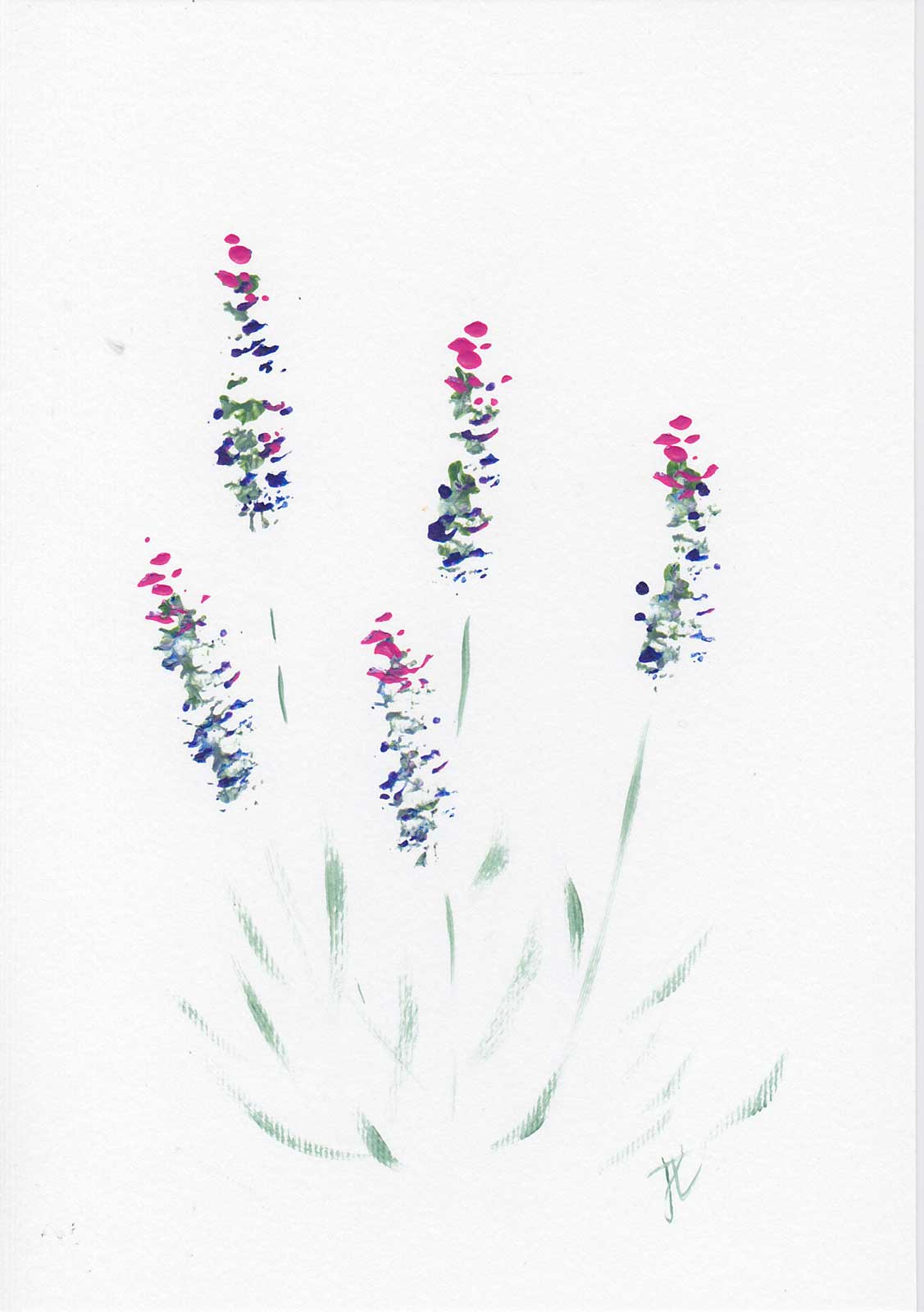 Acrylic paint sketch of gently stylised lavender flowers on a white background