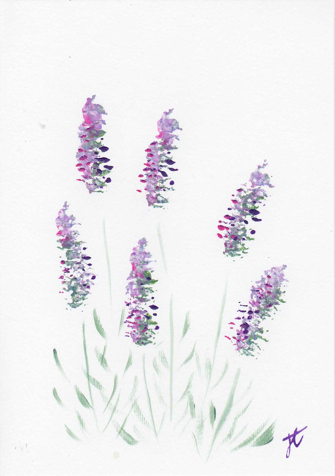 Paint sketch in acrylic of 6 lavender flowers and foliage on a white background