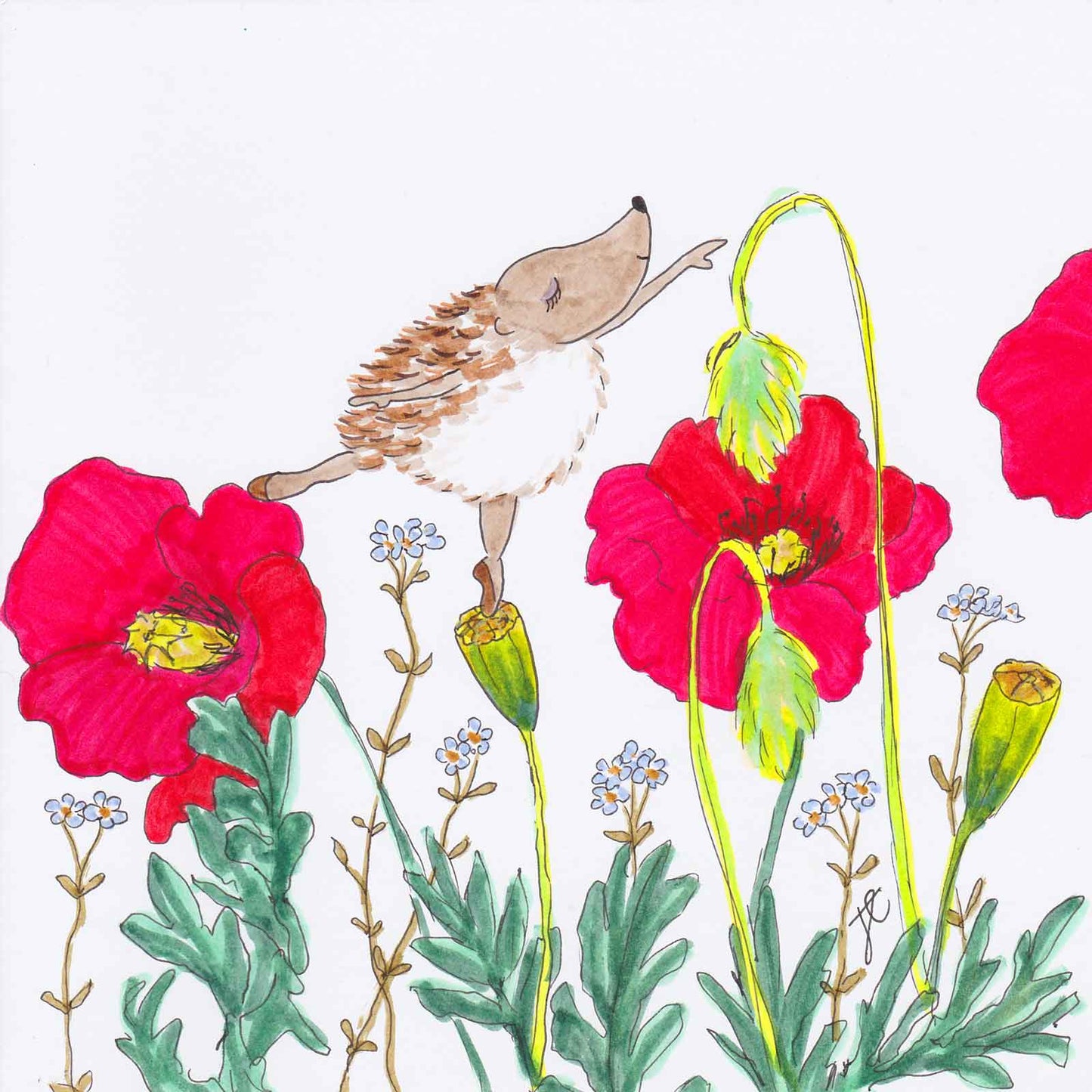 Summer arabesque: hand-drawn Ballettoons Hedgie character illustration