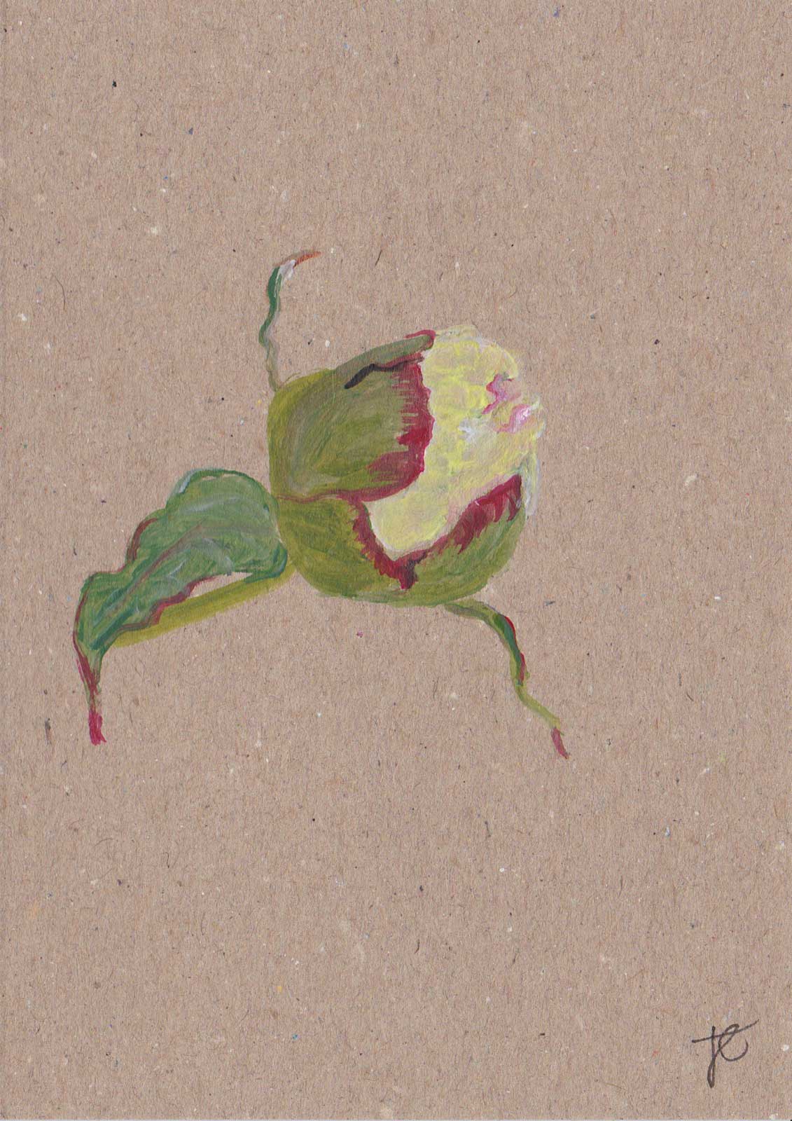 Peony | hand-painted flower greetings card