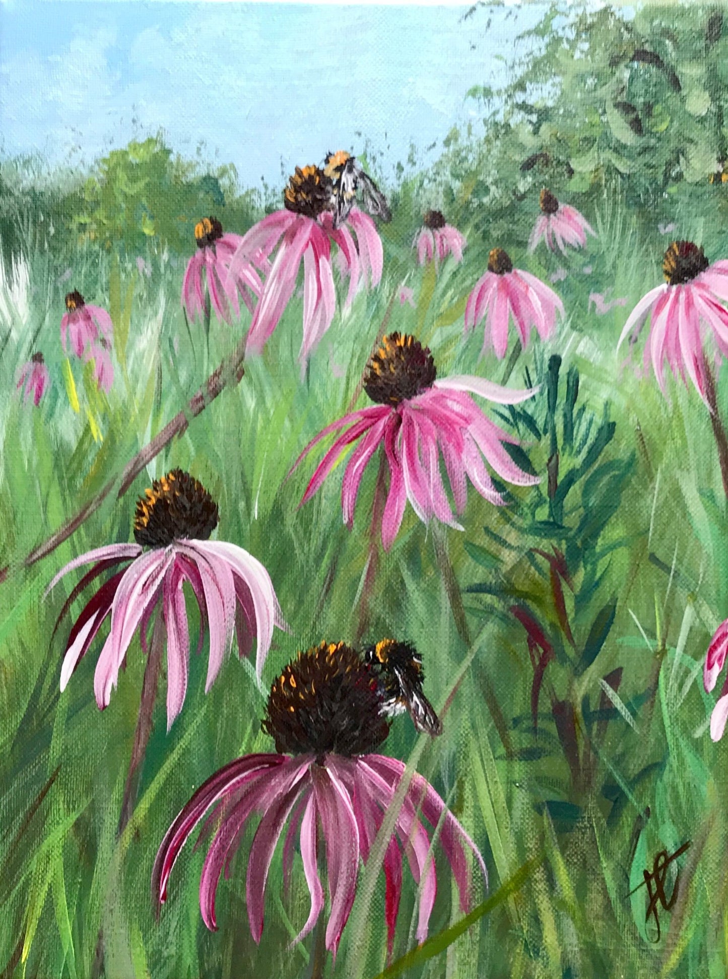 Flower painting of bees alighting on echinacea purpurea growing in a meadow
