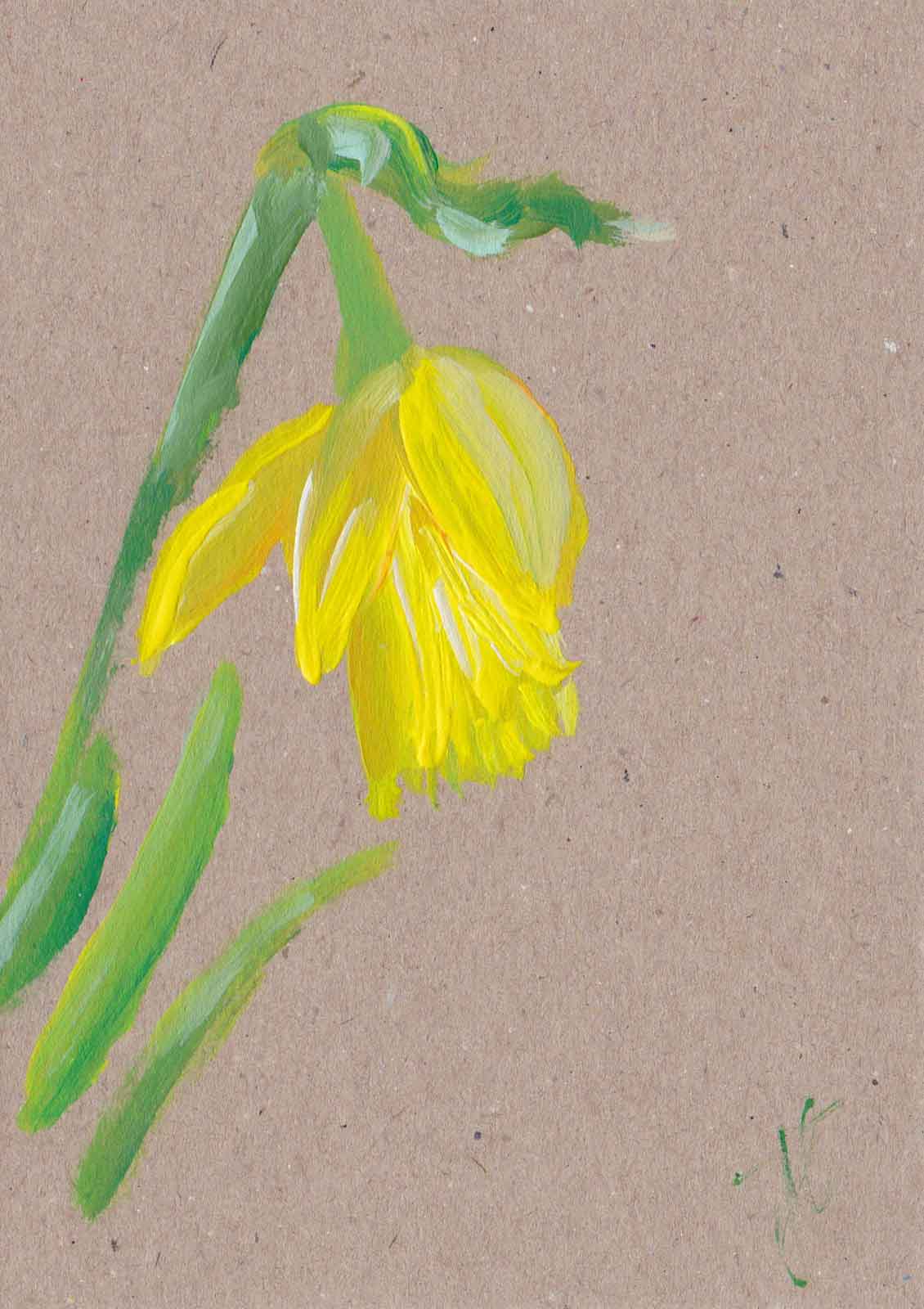 Daffodil – hand-painted floral note card