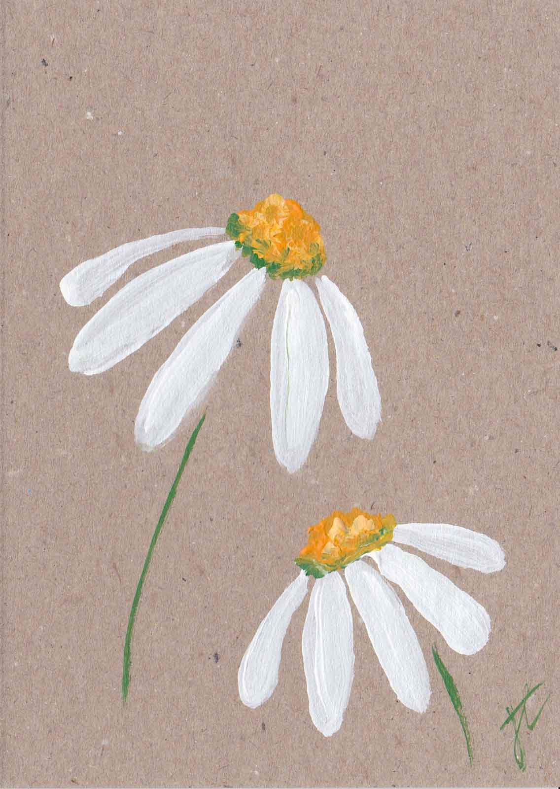 Painted daisies on brown card