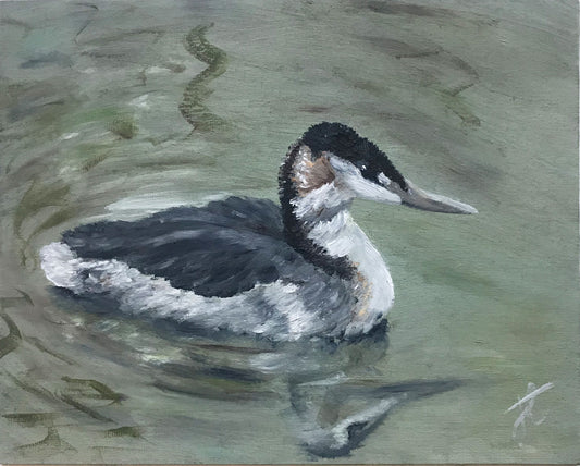 Painting of a grebe on the water.