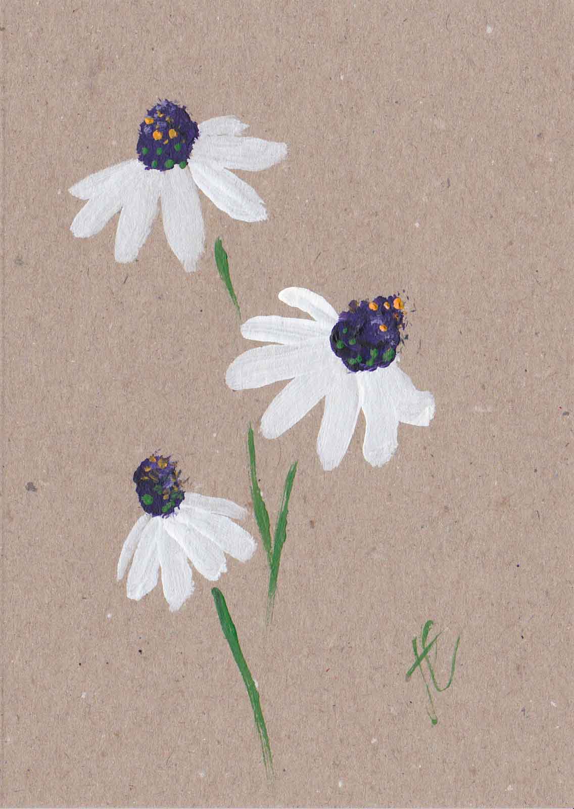 Painted osteospermum daisies on brown card
