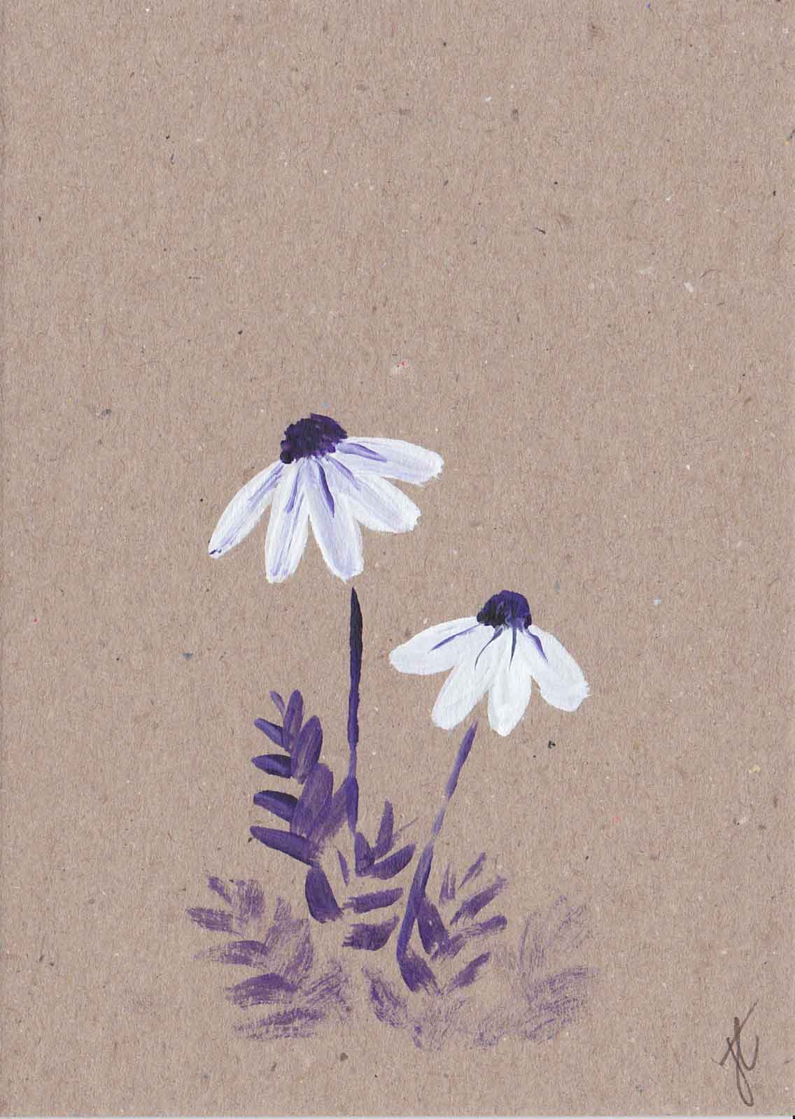 Painted osteospermum daisies with purple foliage on brown card