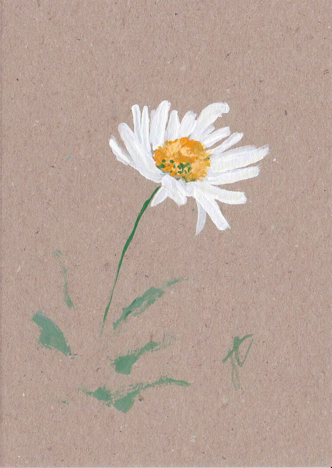 Painted daisy on brown card