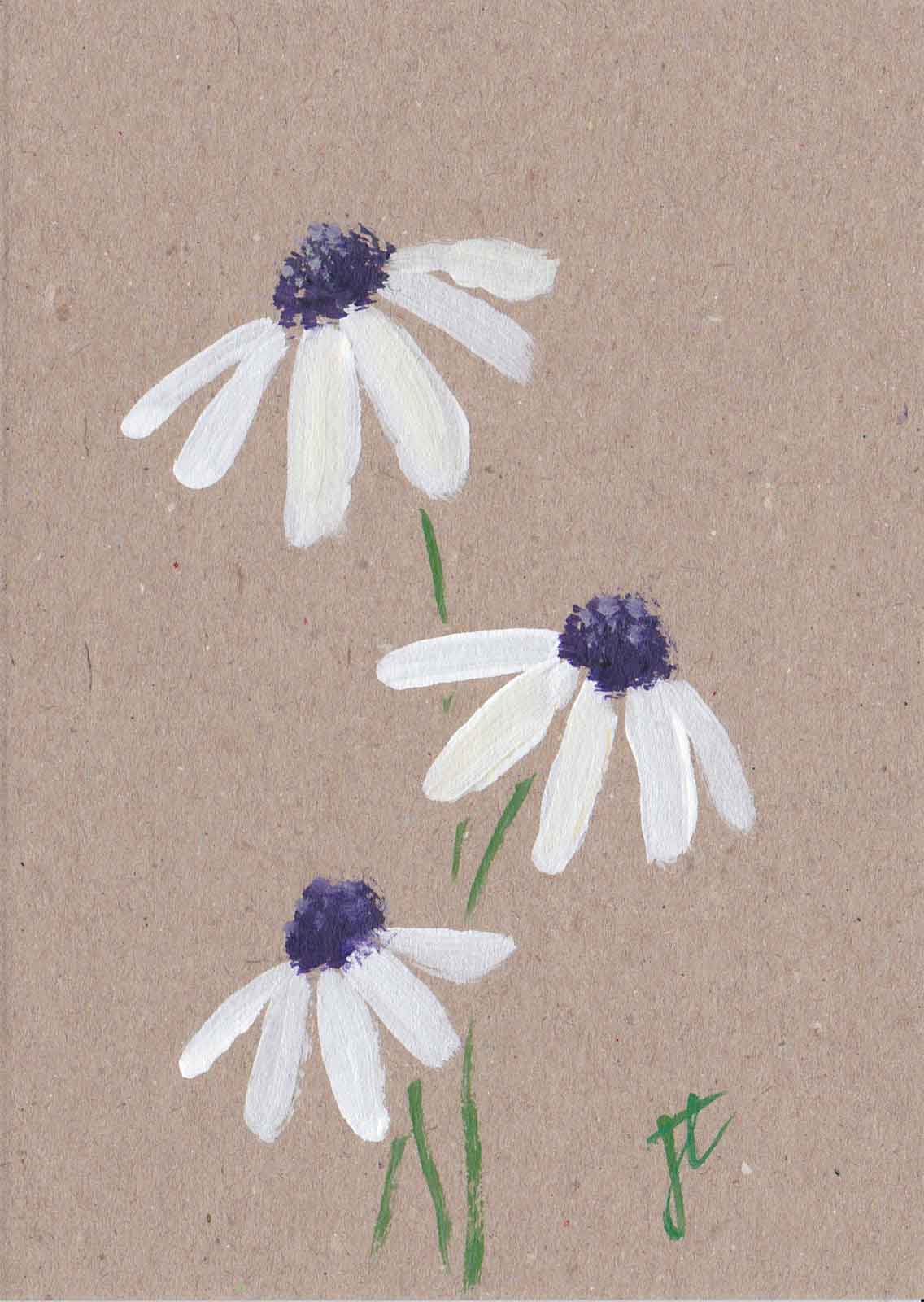 Hand-painted osteospermum daisies on recycled card stock