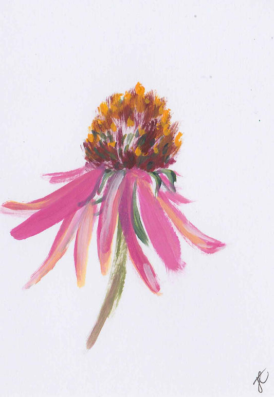 Echinacea flower card painted 