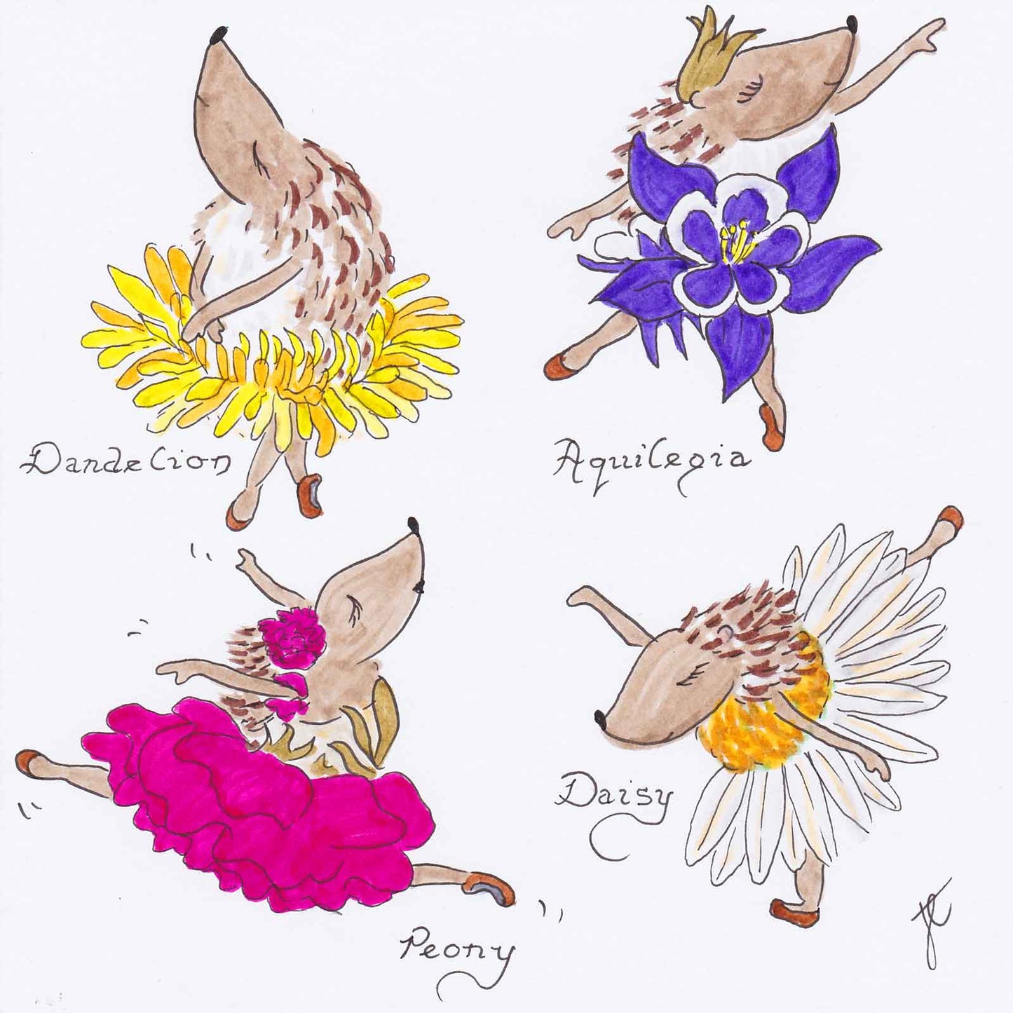 Collage of 4 Ballettoons Hedgies in dandelion, aquiledgia, peony and daisy flower tutus