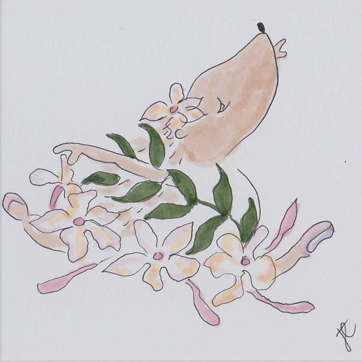 Ballettoons illustration of a hedgehog in ballet jump with tutu of pink jasmine flowers and green leaves on a white background