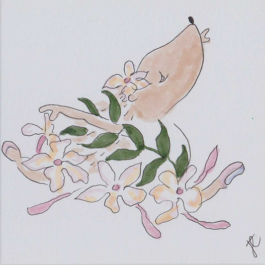 Ballettoons illustration of a hedgehog in ballet jump with tutu of pink jasmine flowers and green leaves on a white background