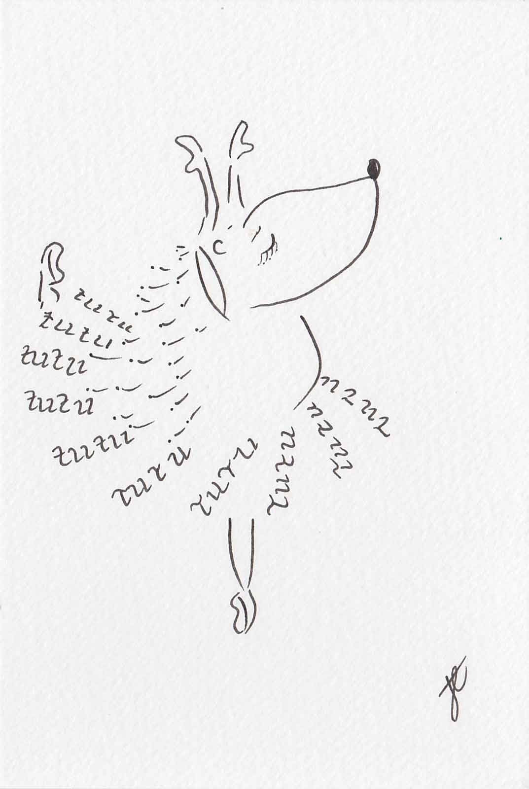 Ballettoons Hedgie illustrated postcard of hedgehog  in handlettered tutu