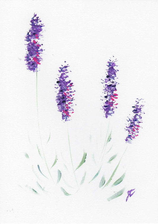 Stylised acrylic paint sketch of 4 lavender flowers on a white background