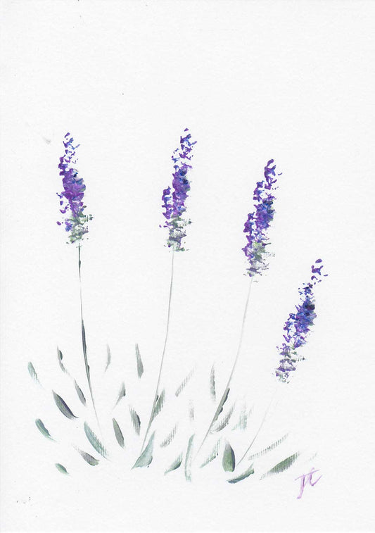 Acrylic paint sketch of 4 lavender flowers on a white background