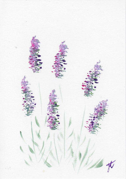 Paint sketch in acrylic of 6 lavender flowers and foliage on a white background