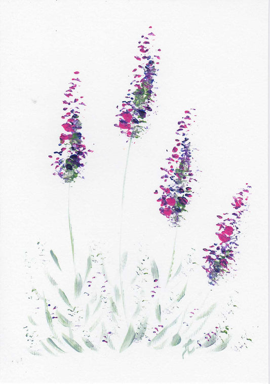 Stylised paint sketch in acrylic of lavender flowers on a white background