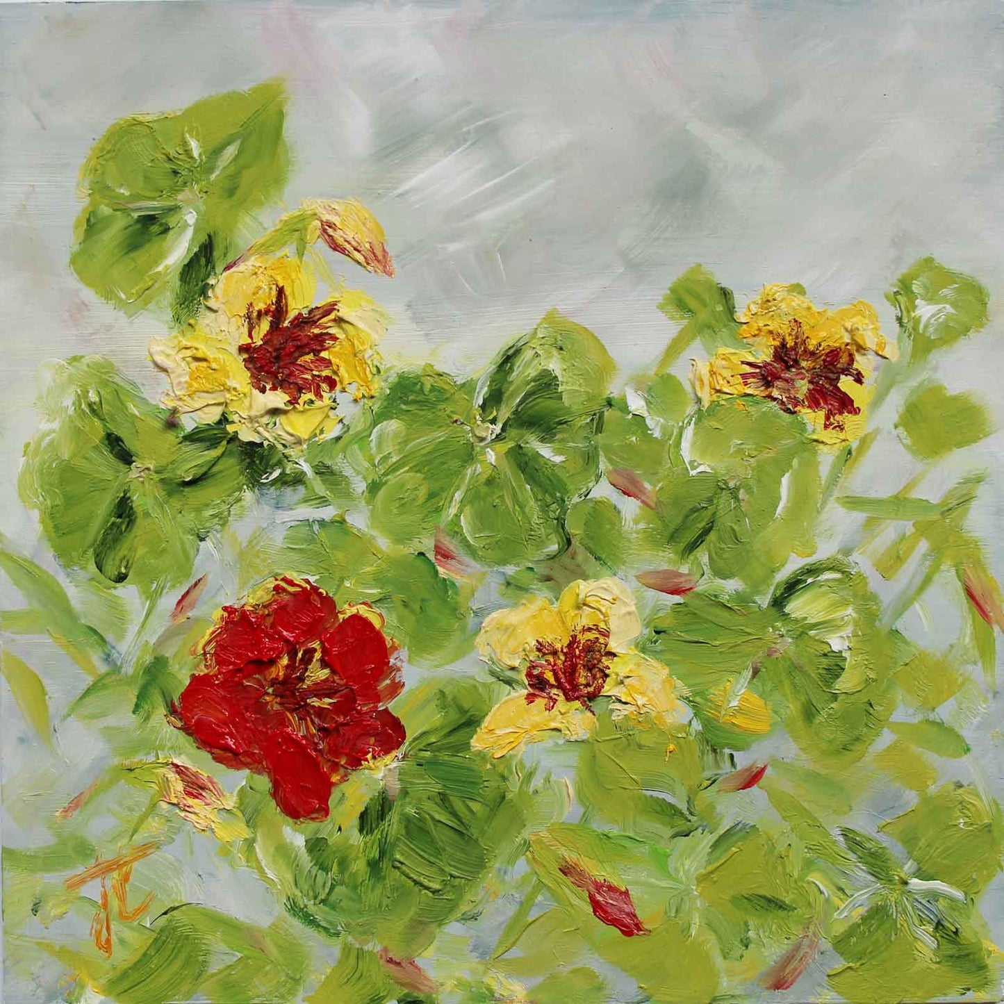 Square oil painting of nasturtiums