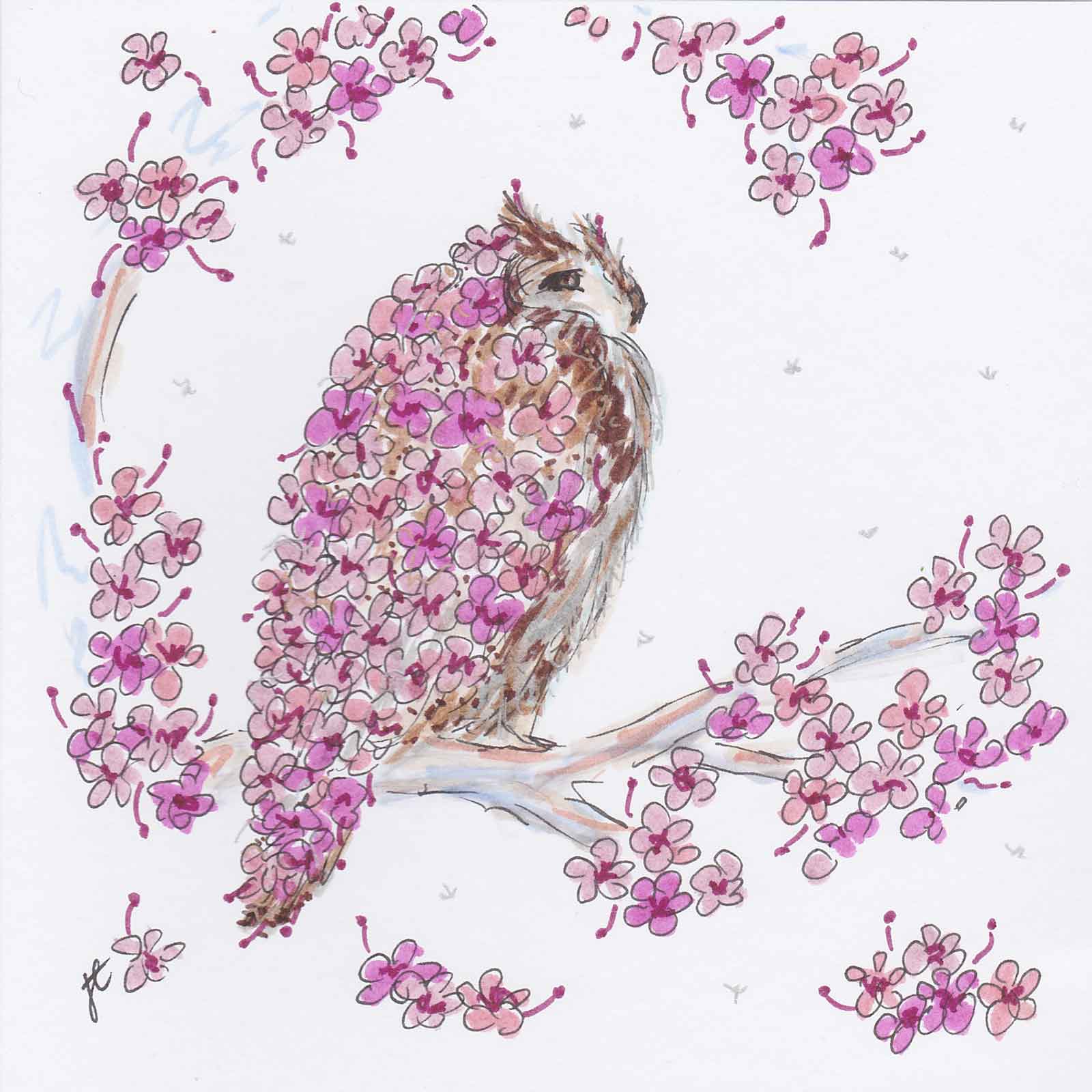 Illustrated card with owl in pink blossom tree