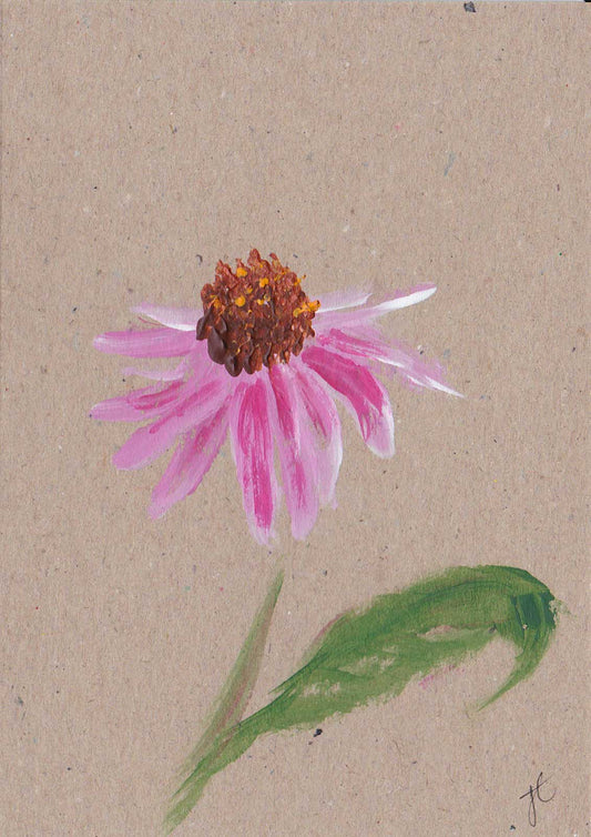 Pink echinacea daisy painted on recycled card