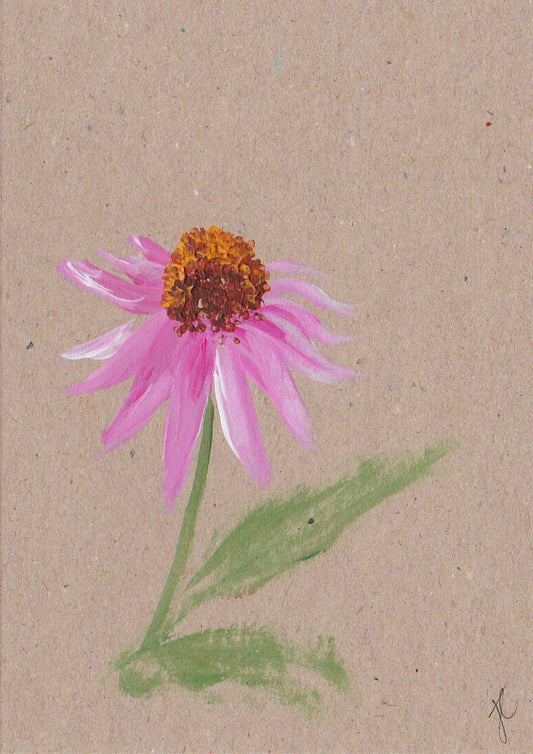 Painting of a pink echinacea daisy flower  on a textured beige card