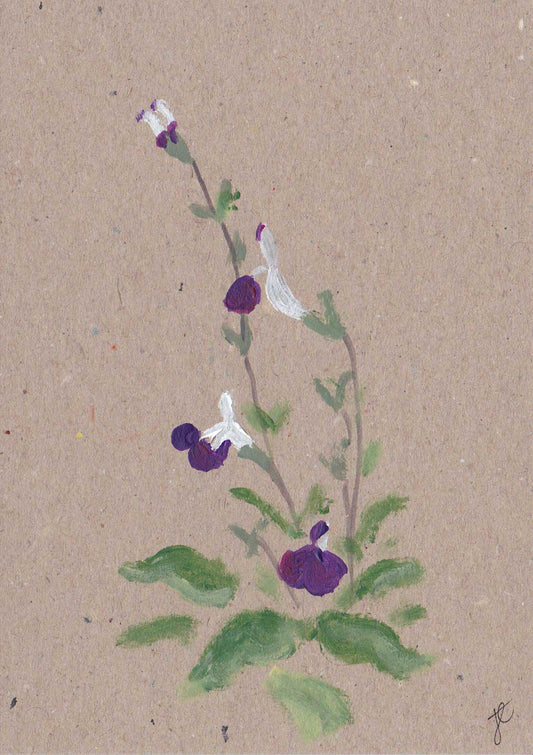 Painted purple and whilte salvia flowers and foliage on kraft card