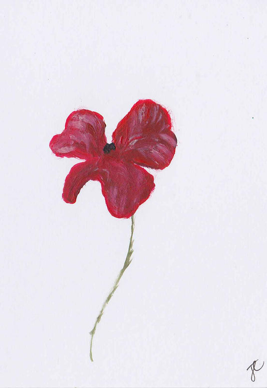 Greetings card with red poppy painted on it