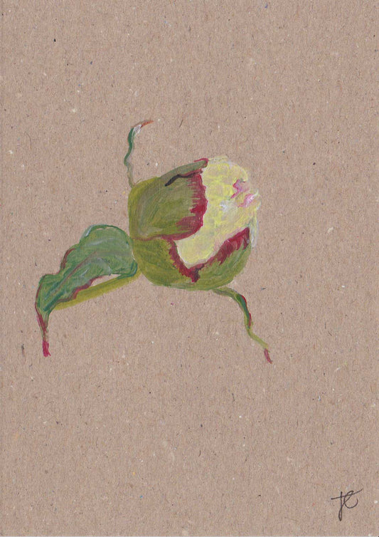 Peony | hand-painted flower greetings card