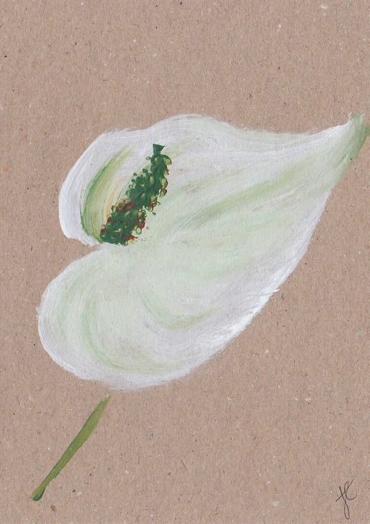 Art greetings card with a white anthurium flower painted on a beige background