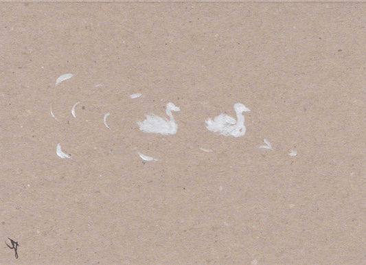 Swans a-swimming silhouette greetings card