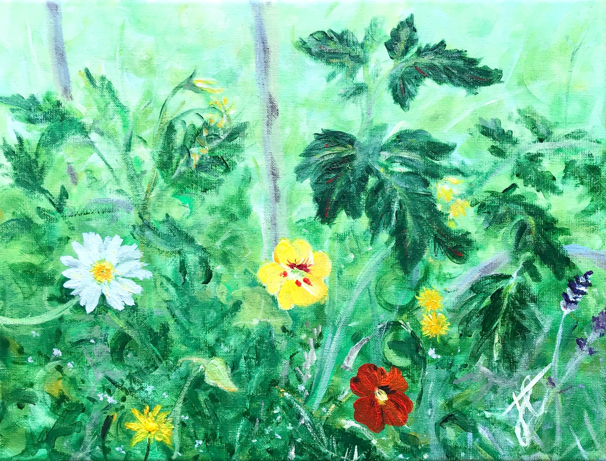Painting cropped to edge: tomato plants growing against a green background. There are a few canes visible. Some yellow buds are on some of the tomato plants.  A daisy, some dandelions and nasturtiums and lavender flowers grow amidst the green.