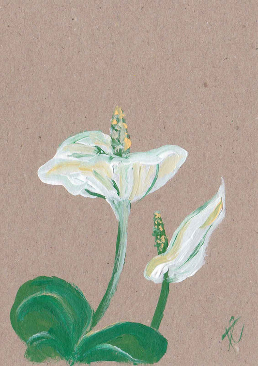 Painted anthurium flowers on kraft card