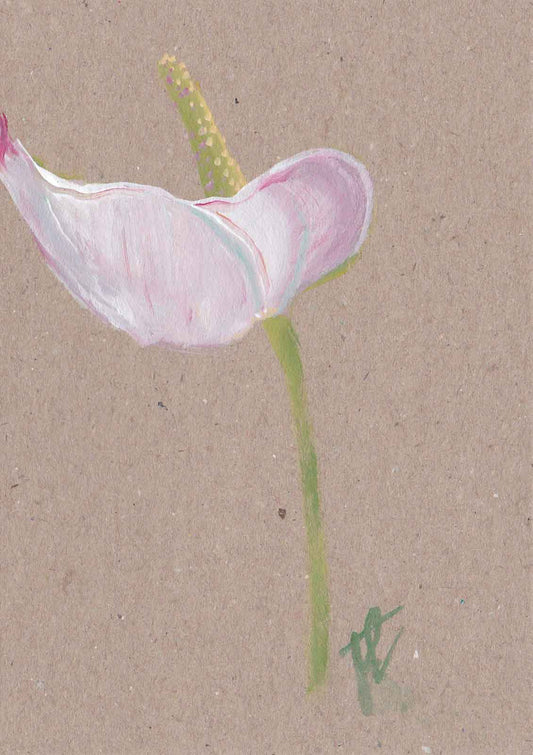 Pink anthurium hand-painted floral note card