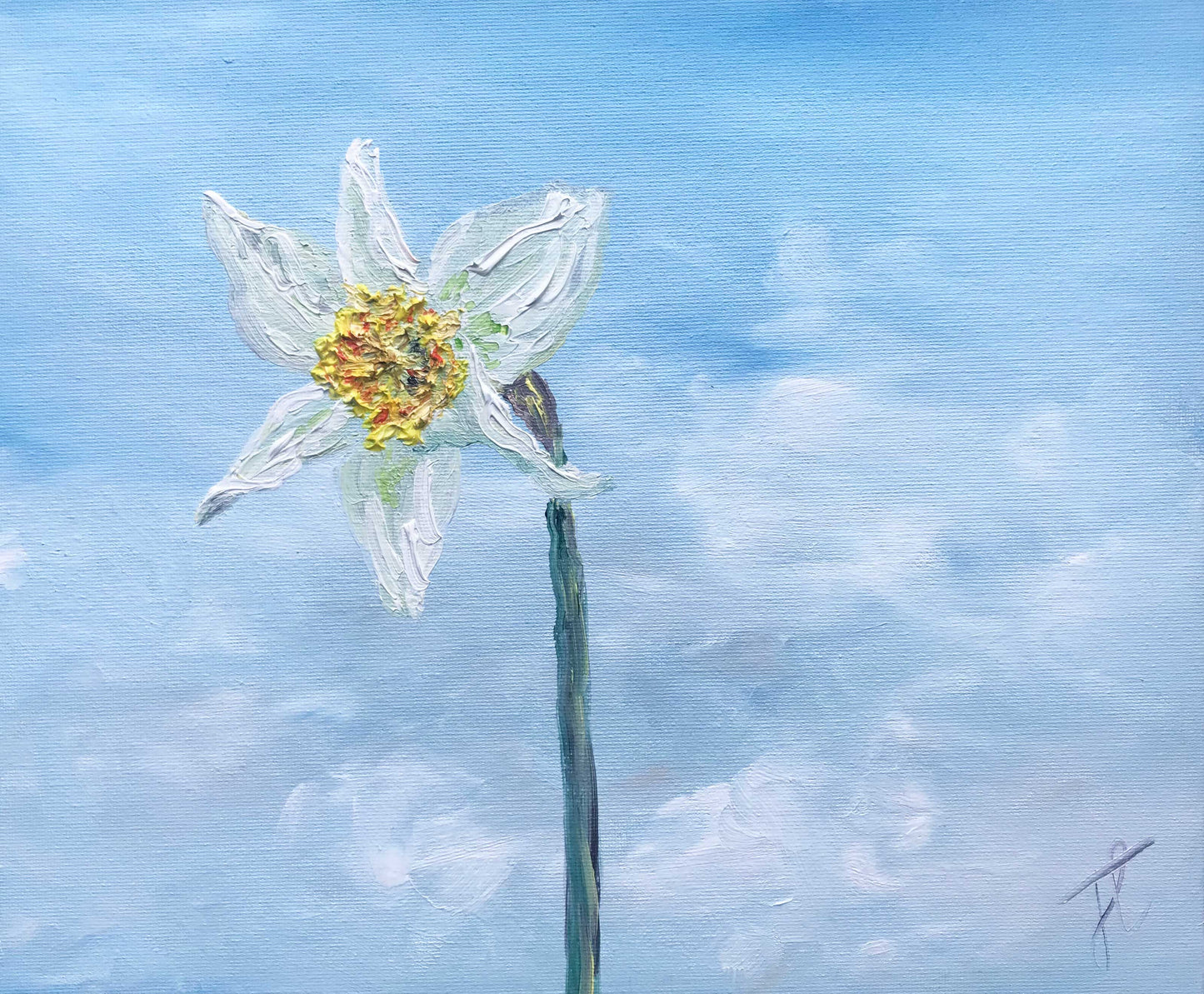 Painting of a single white daffodil with yellow centre, against a blue sky with soft white clouds. The paint comprising the daffodil's surface is textured.