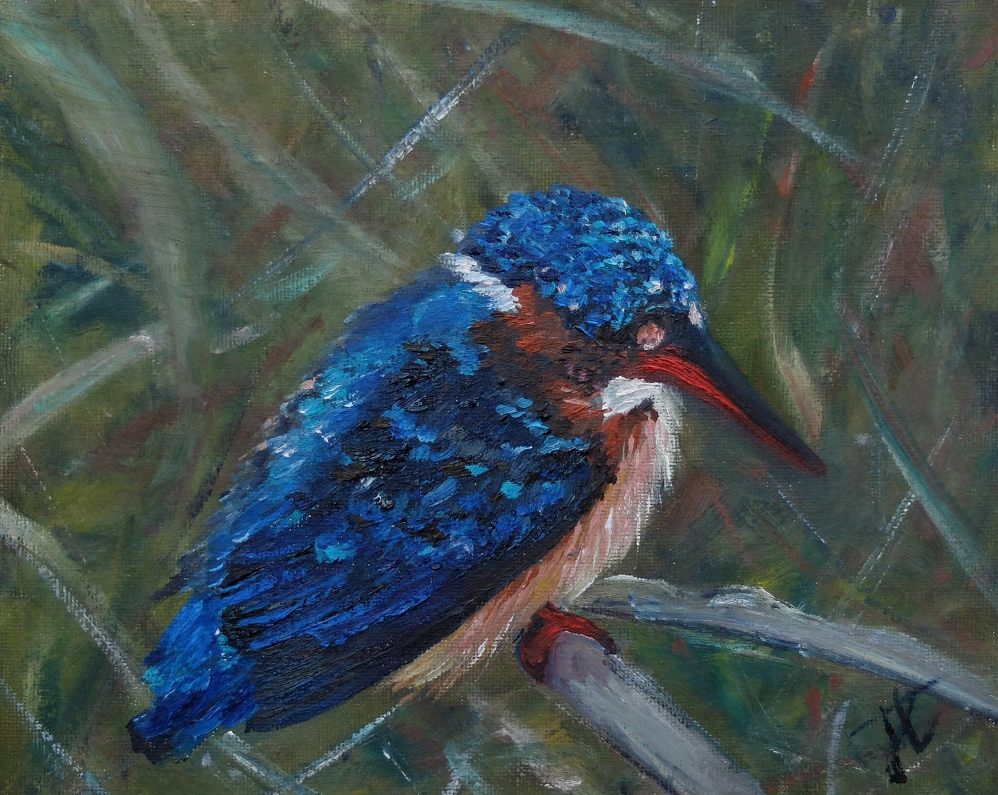 Photograph of painting cropped to edge: a malachite kingfisher on a dry reed surrounded by lots of leafy reeds.