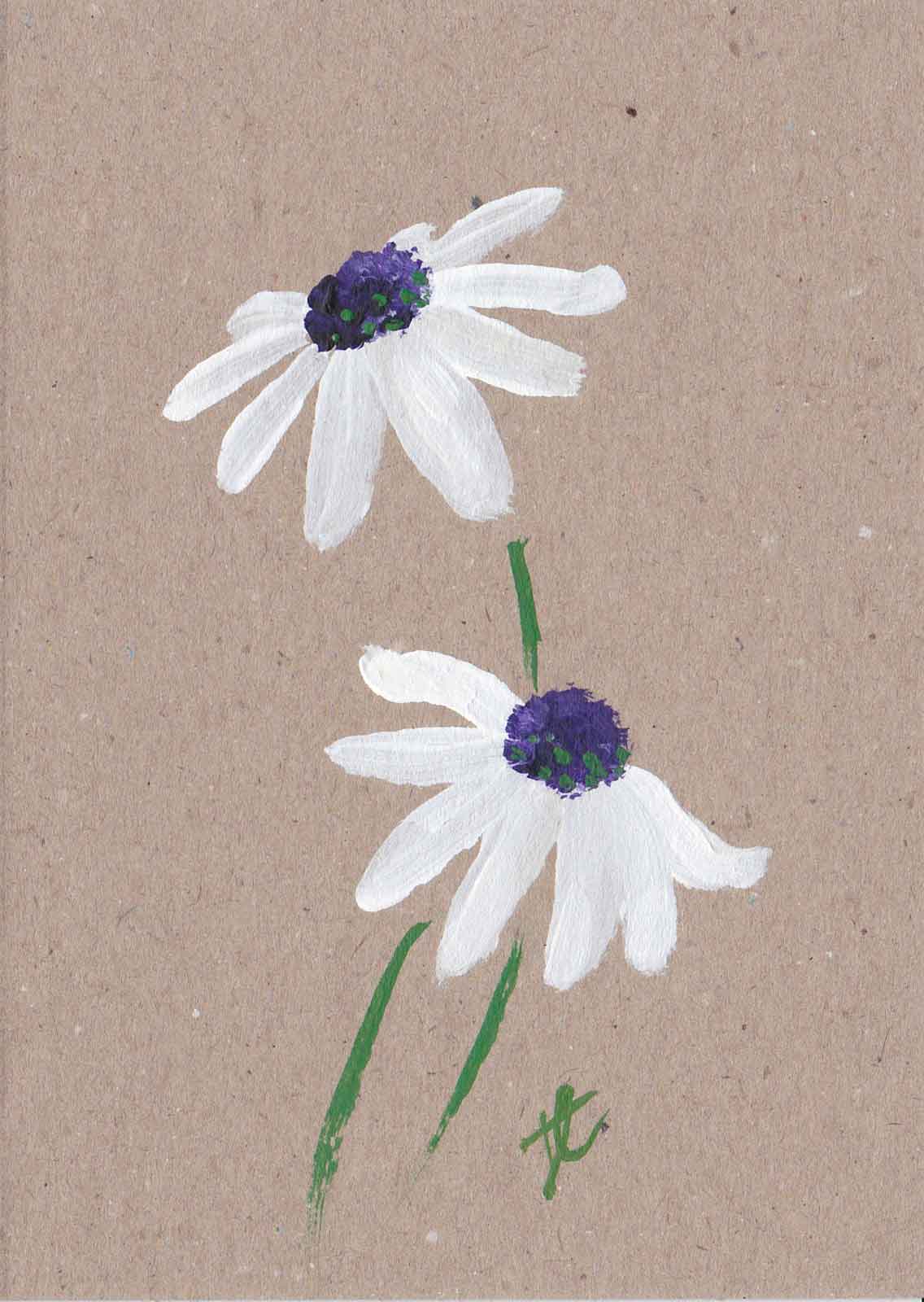 Painted osteospermum daisies on brown card