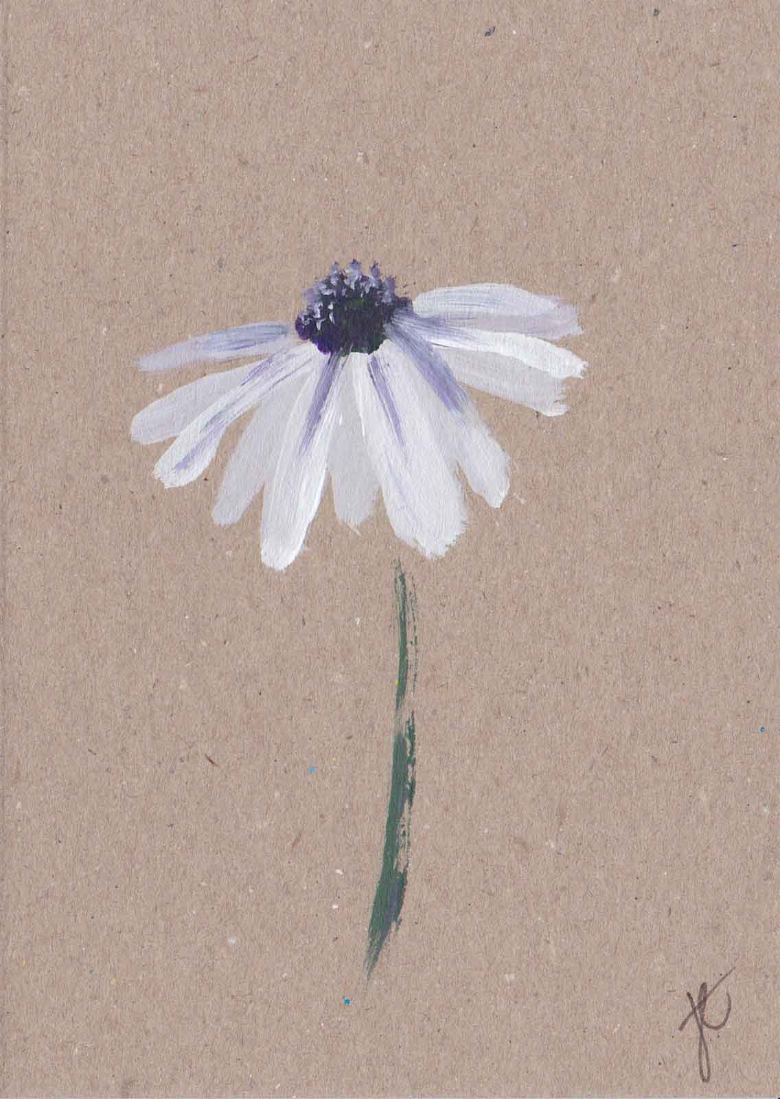 Painted osteospermum daisy on brown card