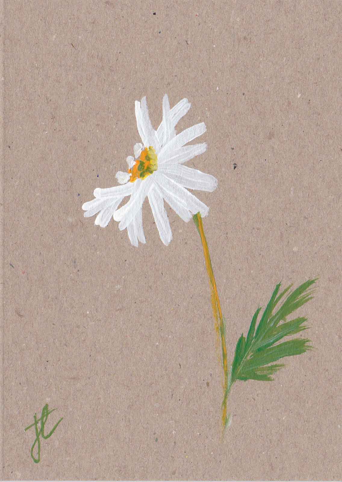 Painted daisy on brown card